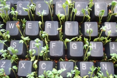 Phím tắt cần biết khi lướt web 