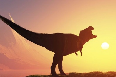Tìm thấy loài khủng long lớn nhất từ xưa tới nay 