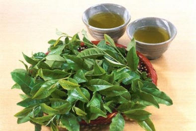 Những thời điểm kiêng chè xanh trong ngày