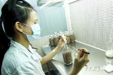 Người làm quản lý quyết định số mệnh của nhà khoa học.