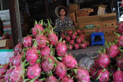 Hàng Trung Quốc ế vì chất lượng kém