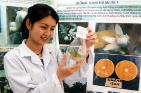 Tập trung đầu tư cho các Phòng thí nghiệm trọng điểm