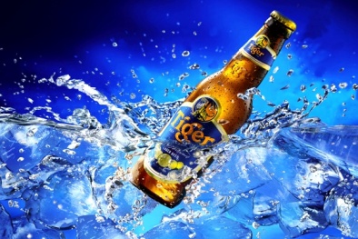 5 dòng bia đẳng cấp nhất hành tinh