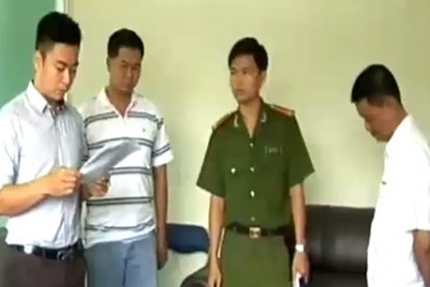 Vì sao cán bộ Hải Quan TPHCM bị bắt giam?