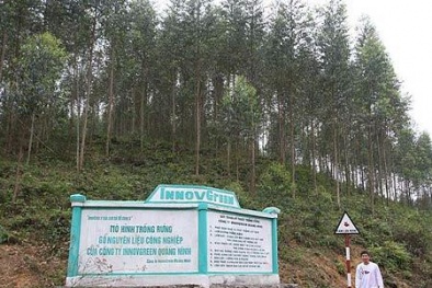 Người Trung Quốc thuê đất: Việt Nam vẫn kiểm soát chặt!