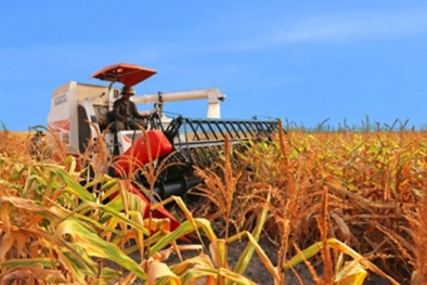 Doanh nghiệp Việt ồ ạt chuyển hướng đầu tư vào nông nghiệp