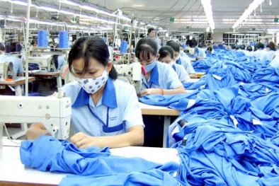 Công nghiệp phụ trợ yếu kéo tụt sức cạnh tranh ngành dệt may