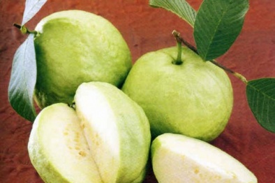 Những loại trái cây tưởng mát hóa nóng