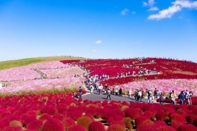 Thiên đường du lịch làm nao lòng du khách