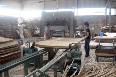 Đồ gỗ công nghiệp giá rẻ: Lợi ít hại nhiều