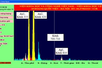 Đo lường vàng bằng tia X như nào?