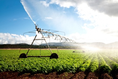 Quản lý chất lượng nước sạch trong nông nghiệp Mỹ