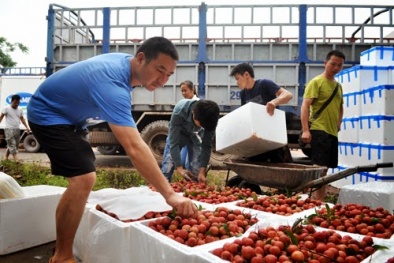 Thương lái Trung Quốc 'tập' cho người Việt thói cẩu thả, gian dối