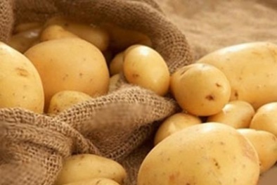 Cách phân biệt khoai tây Trung Quốc và khoai tây Đà Lạt