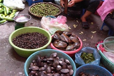 Nguy hiểm từ trai hến