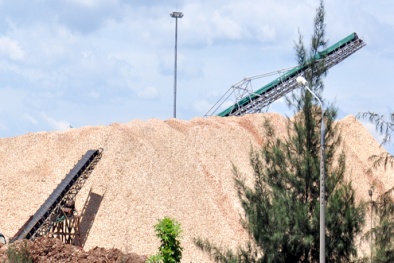 Trung Quốc ép giá, xuất khẩu dăm gỗ giảm mạnh