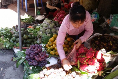 Ai 'tiếp tay' cho hoa quả độc Trung Quốc thoải mái tuồn vào Việt Nam?
