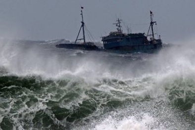 Ban chỉ đạo phòng chống lụt bão ra công điện đối phó bão Sammasun