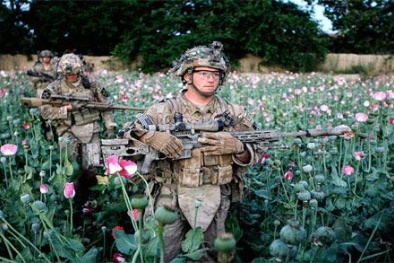 Mỹ đưa ra mục tiêu hợp pháp hóa cần sa toàn liên bang