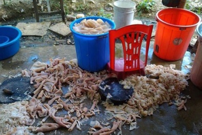 Cơ sở sản xuất nem chua bẩn ở Thanh Hóa bị xử phạt