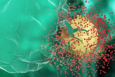 Triển vọng 'xóa sổ' HIV/AIDS vào năm 2030