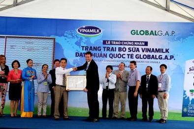 Trang trại bò sữa đầu tiên của Đông Nam Á đạt GlobalG.A.P.