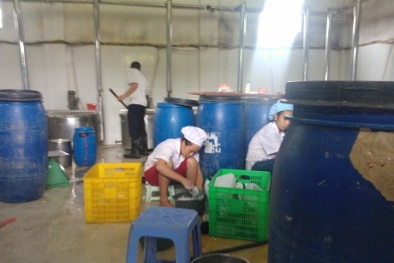 Ớn lạnh hình ảnh bên trong khu sản xuất sữa tươi