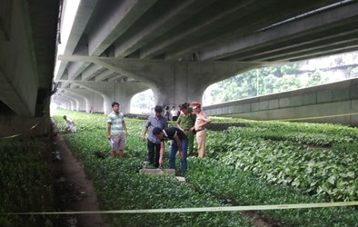 Chưởng môn võ Bình Định Gia chết dưới cống thoát nước