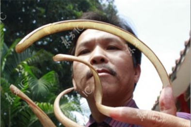 Khoa học: Móng tay người vẫn mọc dài ra sau khi chết