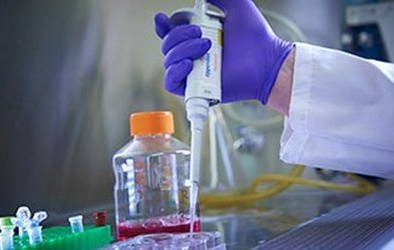 Tách được các virus HIV khỏi tế bào người