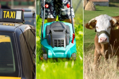 Những điều luật kỳ quặc nhất hành tinh