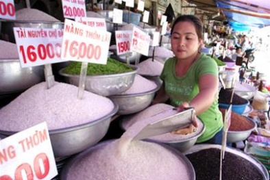 Thương lái đua nhau mua vào dù giá lúa gạo tăng cao