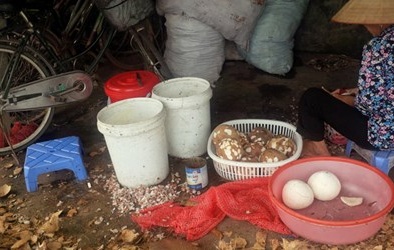 Kinh hãi làm kem bẩn, xưởng sản xuất như chuồng heo