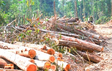 Giám đốc Công an tỉnh Đắk Nông bị yêu cầu nghiêm túc kiểm điểm