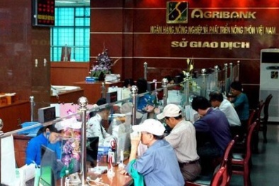 Nợ xấu siêu khủng: Agribank 'xứng danh' là Vinashin ngành ngân hàng