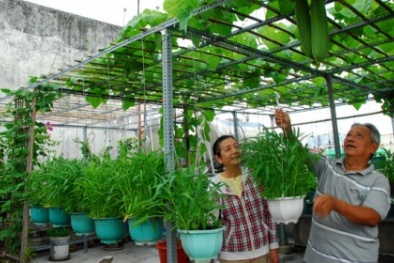 Những ý tưởng kiếm bộn tiền khi về hưu