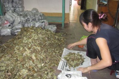 Phát hiện thuốc gia truyền chứa độc chất