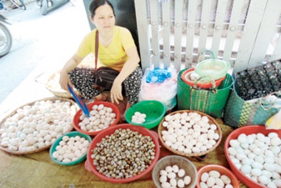 Hoang mang sợ ăn nhầm trứng vịt lộn Trung Quốc