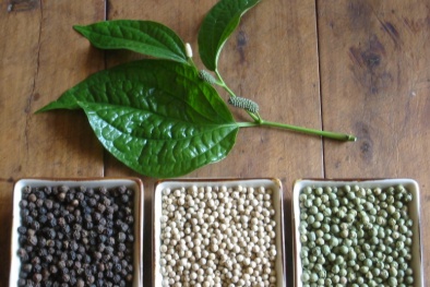 Giá hồ tiêu lập mức kỷ lục mới