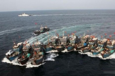 Tình hình Biển Đông ngày 2/8: Gần 9.000 tàu cá Trung Quốc tiến ra Biển Đông