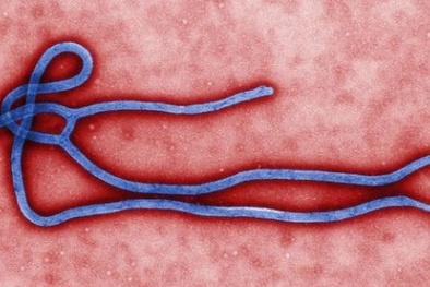 Mỹ cảnh báo dịch Ebola vẫn bùng phát ngoài tầm kiểm soát