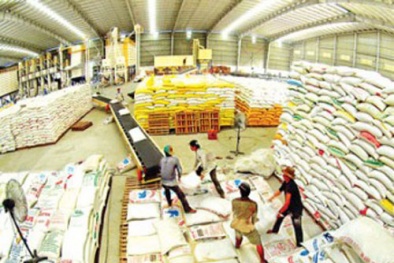 Thực hư chuyện Trung Quốc cấm biên gạo Việt Nam