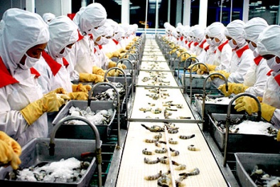 Vườn ươm doanh nghiệp - Cánh cửa để ra biển lớn