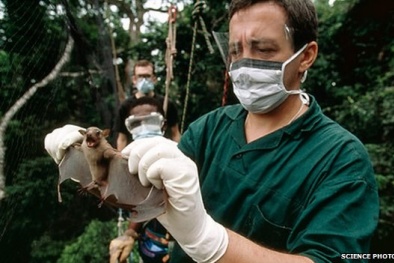 Căn bệnh Ebola và những hiểu lầm 'chết người'