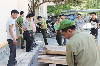 Trạm trưởng kiểm lâm nhận hối lộ 100 triệu đồng bị tạm giam 4 tháng