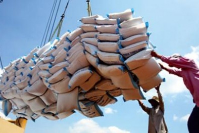 Gạo Việt 'thoát' Trung: Không cần hai Tổng công ty Nhà nước!