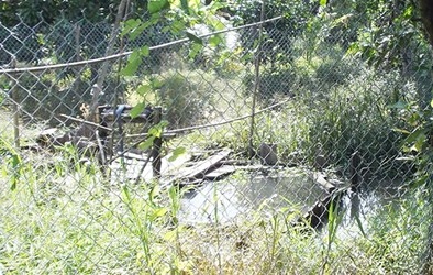 Về kho báu vàng bạc ở Đồng Tháp