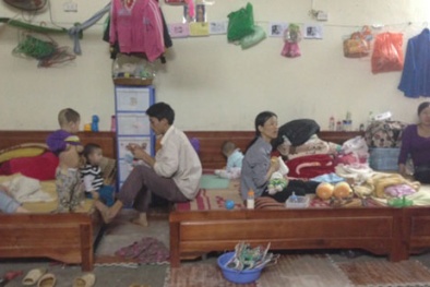 Vụ chùa Bồ Đề: Ý kiến của các chuyên gia về việc mua bán trẻ em