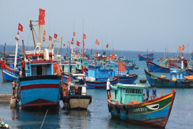 Vay vốn đóng tàu mới: Ngư dân toàn quyền quyết định