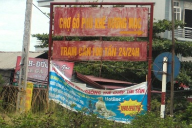 Ông trùm xã hội đen Minh 'sâm' ăn chặn tiền dân buôn gỗ ra sao?